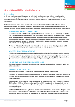 Mt Hutt Risk Assessment Management Form.