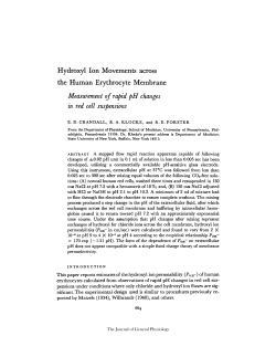 Hydroxyl Ion Movements across the Human