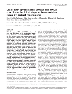 Uracil–DNA glycosylases SMUG1 and UNG2 coordinate the initial