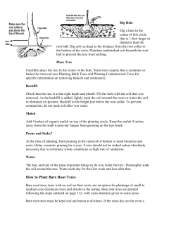 How to Plant A Tree - Spink Conservation District!