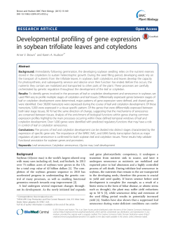 PDF - BioMed Central