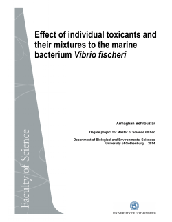 Effect of individual toxicants and their mixtures to the marine
