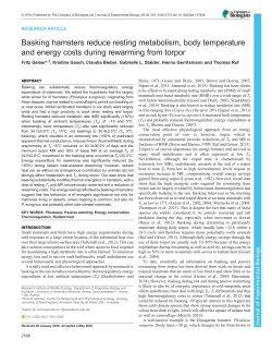 Basking hamsters reduce resting metabolism, body
