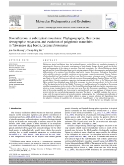 Diversification in subtropical mountains: Phylogeography