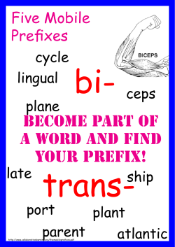 Prefixes - Collaborative Learning Project