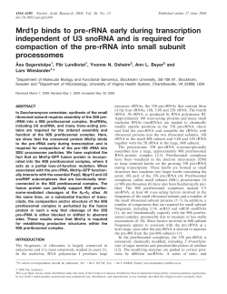 Mrd1p binds to pre-rRNA early during transcription independent of