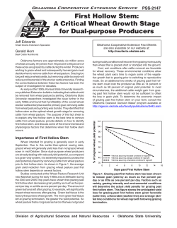 PSS-2147 First Hollow Stem: A Critical Wheat Growth Stage for Dual