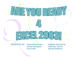 Excel 2003