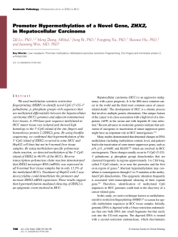 Promoter Hypermethylation of a Novel Gene, ZHX2, in