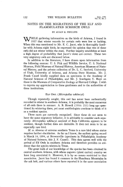 notes on the migrations of the elf and flammulated screech owls
