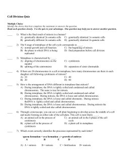 Cell Division Quiz