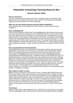 Hominin Species: Basic - The University of Reading