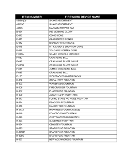 ITEM NUMBER FIREWORK DEVICE NAME