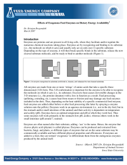 Effects of Exogenous Feed Enzymes on Dietary Energy Availability