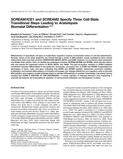 SCREAM/ICE1 and SCREAM2 Specify Three Cell