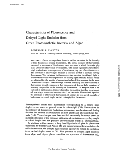Characteristics of Fluorescence and Delayed Light Emission from