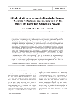 Effects of nitrogen concentrations in turtlegrass Thalassia