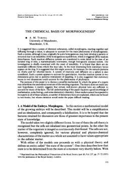 THE CHEMICAL BASIS OF MORPHOGENESIS*