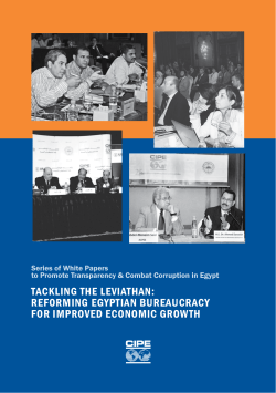 TACKLING THE LEVIATHAN: REFORMING EGYPTIAN