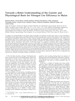 Towards a Better Understanding of the Genetic