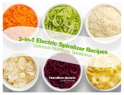 Hamilton Beach 3-in-1 Electric Spiralizer eBook