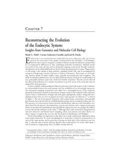 Reconstructing the Evolution of the Endocytic System: