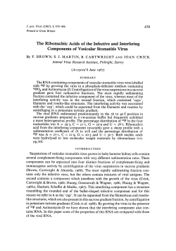 The Ribonucleic Acids of the Infective and Interfering Components of