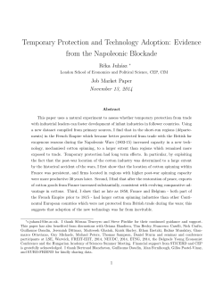 Temporary Protection and Technology Adoption: Evidence from the