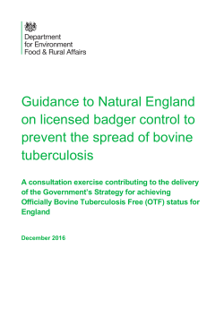 Guidance to Natural England on licensed badger control to prevent the