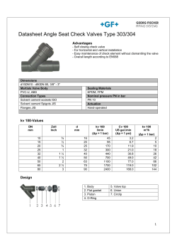 Angle seat check valve, type 303