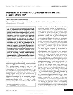 Interaction of picornavirus 2C polypeptide with the viral negative