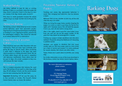 Barking Dogs - Napier City Council