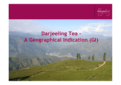 Darjeeling Tea - A Geographical Indication (GI)