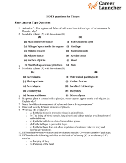 HOTS questions for Tissues Short Answer Type Questions
