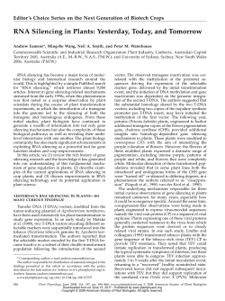 RNA Silencing in Plants: Yesterday, Today, and