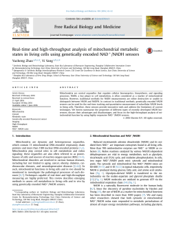 Real-time and high-throughput analysis of mitochondrial