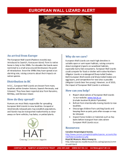 EUROPEAN WALL LIZARD alert - Habitat Acquisition Trust