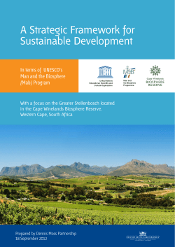 A Strategic Framework for Sustainable Development