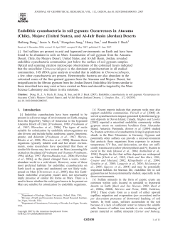 Endolithic cyanobacteria in soil gypsum: Occurrences in Atacama