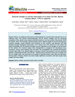 Seasonal changes in ovarian maturation of an Asian Cat fish