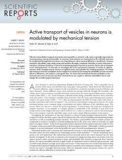 Active transport of vesicles in neurons is modulated