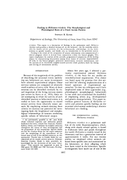 Feeding in Helisoma trivolvis: The Morphological and Physiological