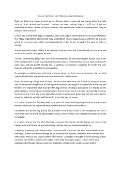 How our hormones can influence a dog`s