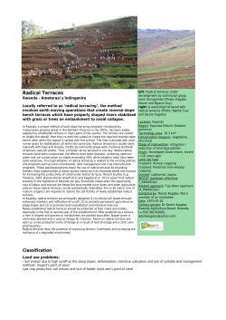 Radical Terraces