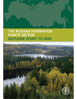 the russian federation forest sector: outlook study to 2030