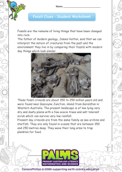 Fossil Clues &ndash; Student Worksheet