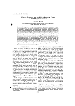 Saltatory Processes and Altricial to Precocial
