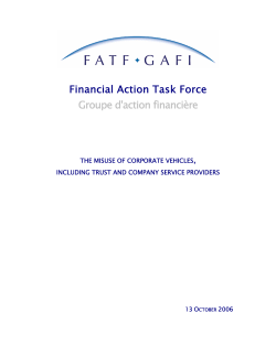 The Misuse of Corporate Vehicles, including Trust and