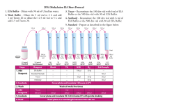 1. EIA Buffer - Dilute with 90 ml of UltraPure water. 2. Wash Buffer