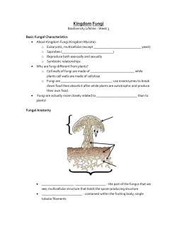 Kingdom Fungi Week 3 Follow Along